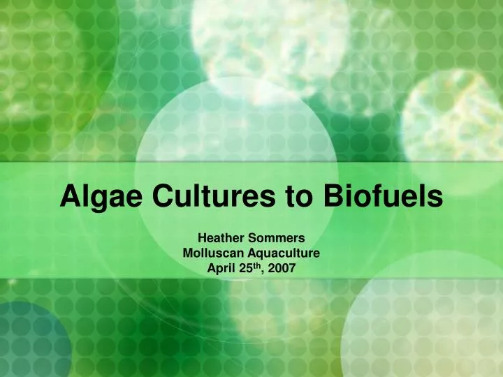 algae cultures to biofuels