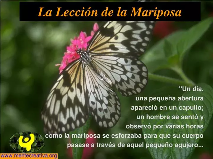 la lecci n de la mariposa