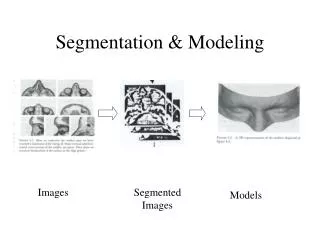 Segmentation &amp; Modeling