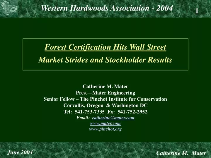 forest certification hits wall street market strides and stockholder results