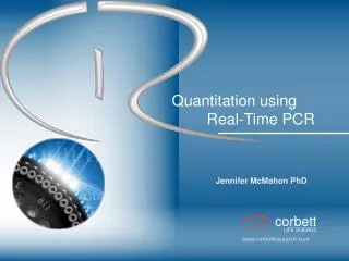 Quantitation using 	Real-Time PCR