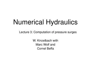 Numerical Hydraulics