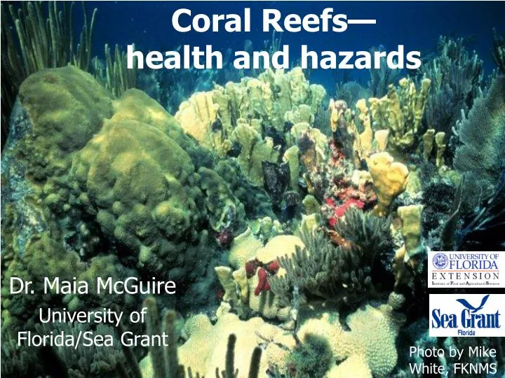 coral reefs health and hazards