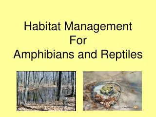 Habitat Management For Amphibians and Reptiles