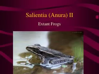 Salientia (Anura) II