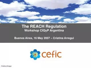 The REACH Regulation Workshop CIQyP Argentina Buenos Aires, 16 May 2007 – Cristina Arregui