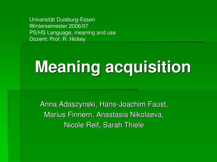 meaning acquisition