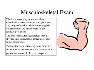 Musculoskeletal Exam