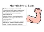 PPT - Musculoskeletal Assessment PowerPoint Presentation, Free Download ...