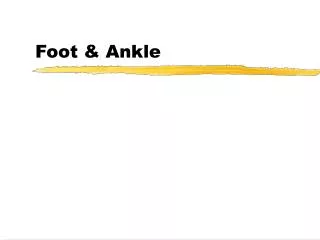 Foot &amp; Ankle