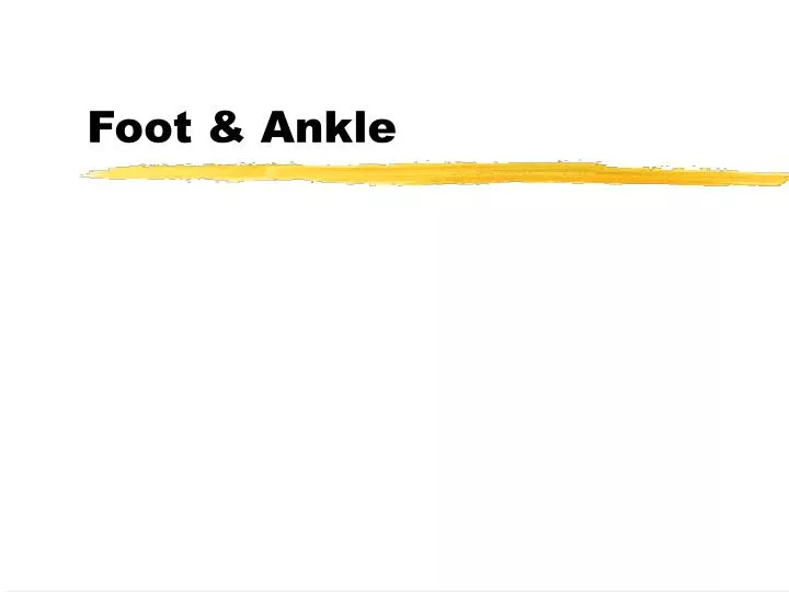 foot ankle