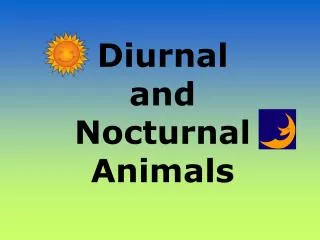 Diurnal and Nocturnal Animals