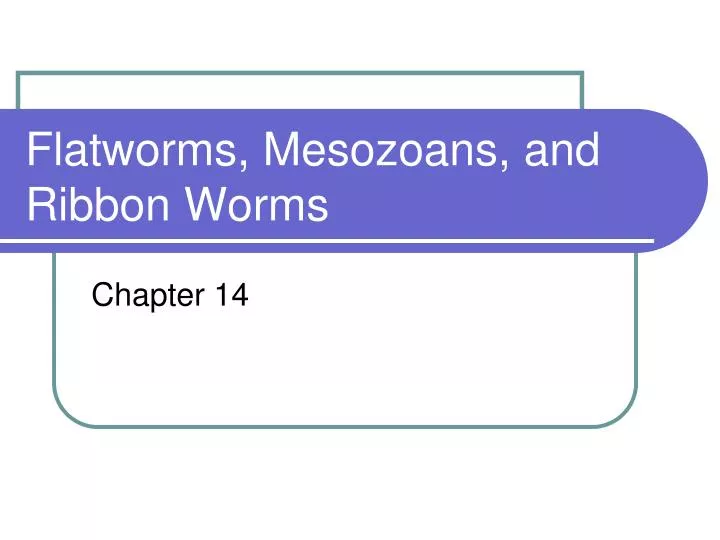 flatworms mesozoans and ribbon worms