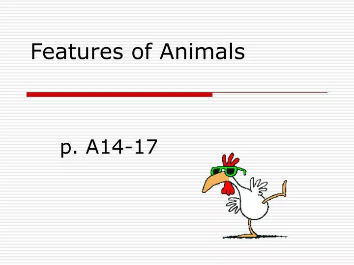 features of animals