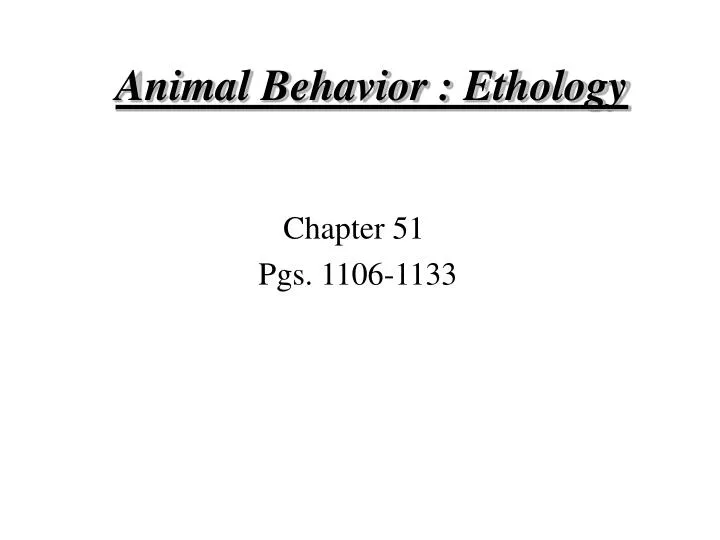 animal behavior ethology