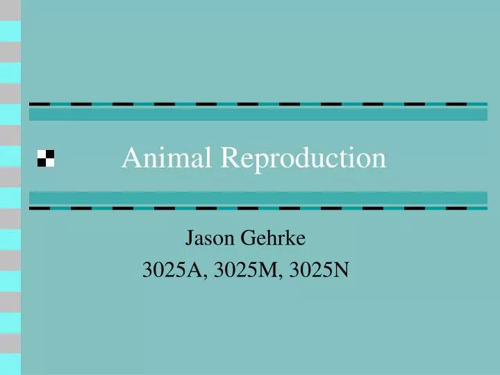 animal reproduction
