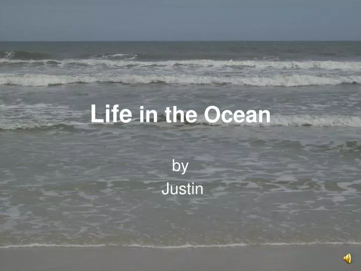 life in the ocean