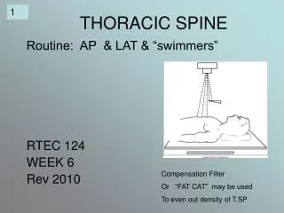 THORACIC SPINE