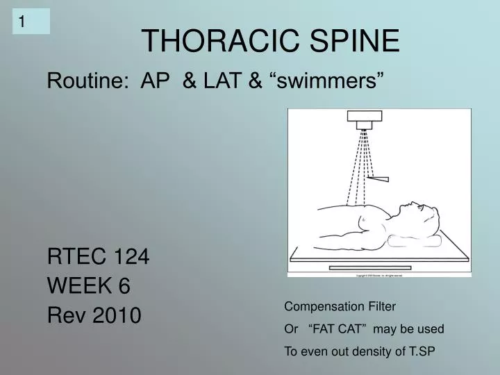 thoracic spine