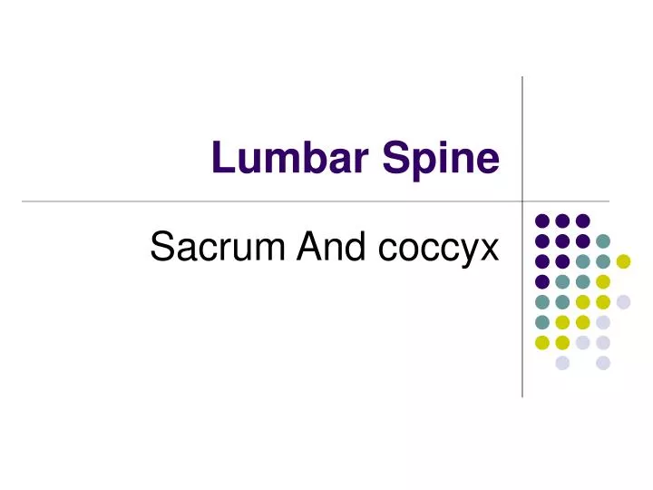 lumbar spine