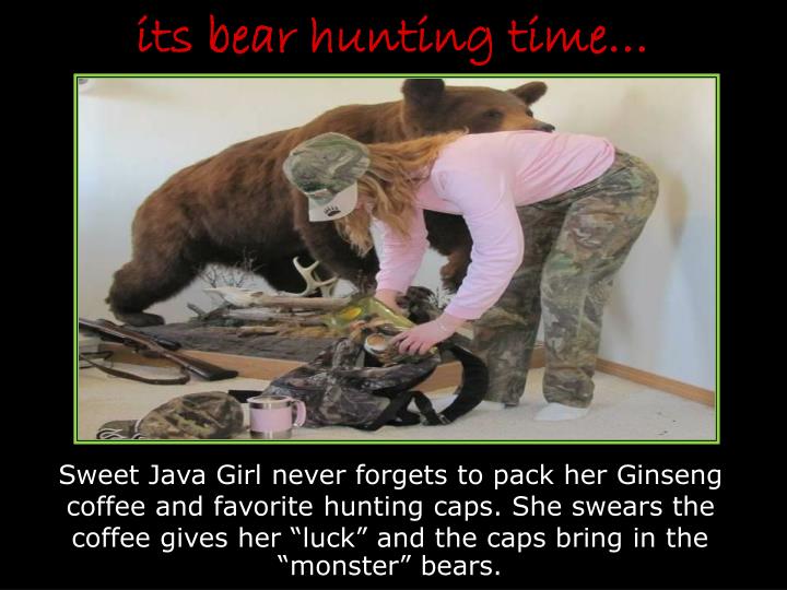 its bear hunting time