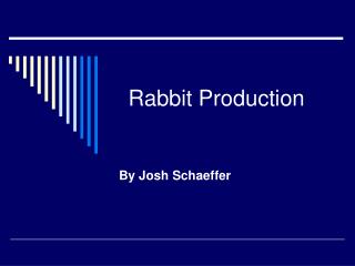 Rabbit Production