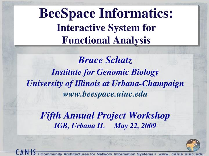beespace informatics interactive system for functional analysis