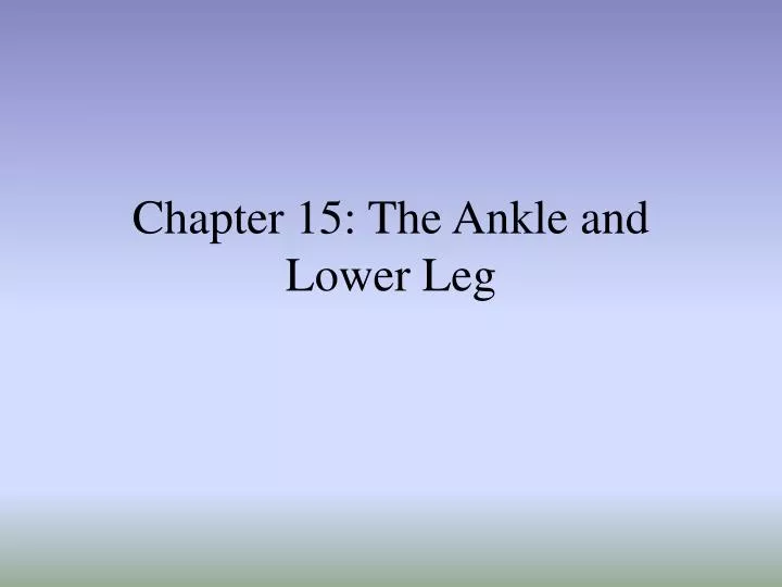 chapter 15 the ankle and lower leg