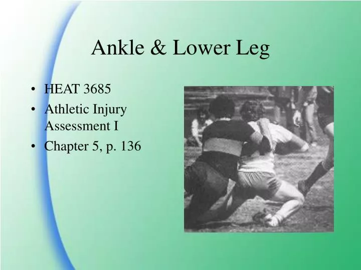 ankle lower leg
