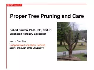 Proper Tree Pruning and Care