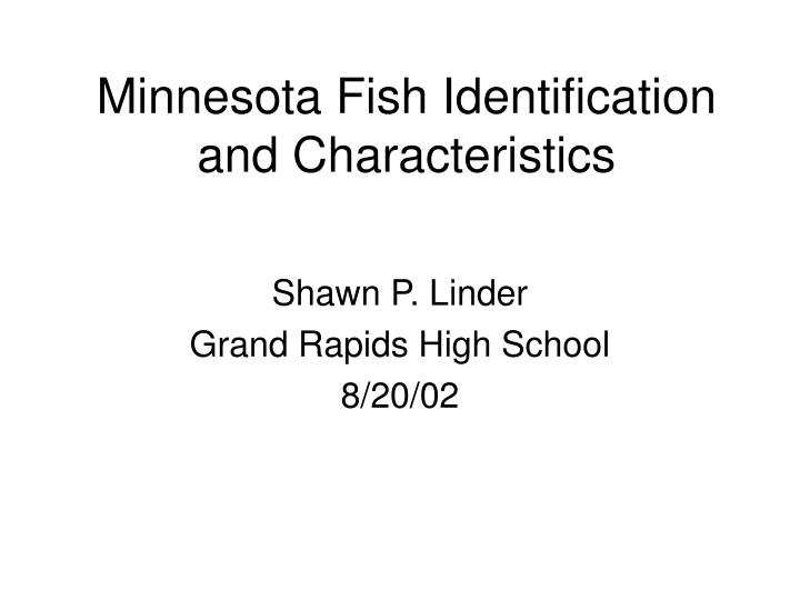 minnesota fish identification and characteristics