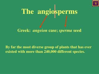 The angiosperms