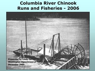 Columbia River Chinook Runs and Fisheries - 2006