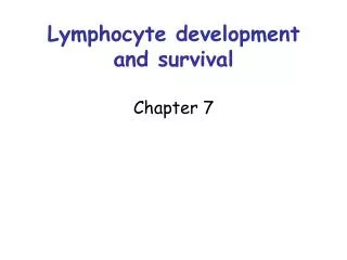 Lymphocyte development and survival Chapter 7