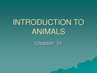 INTRODUCTION TO ANIMALS