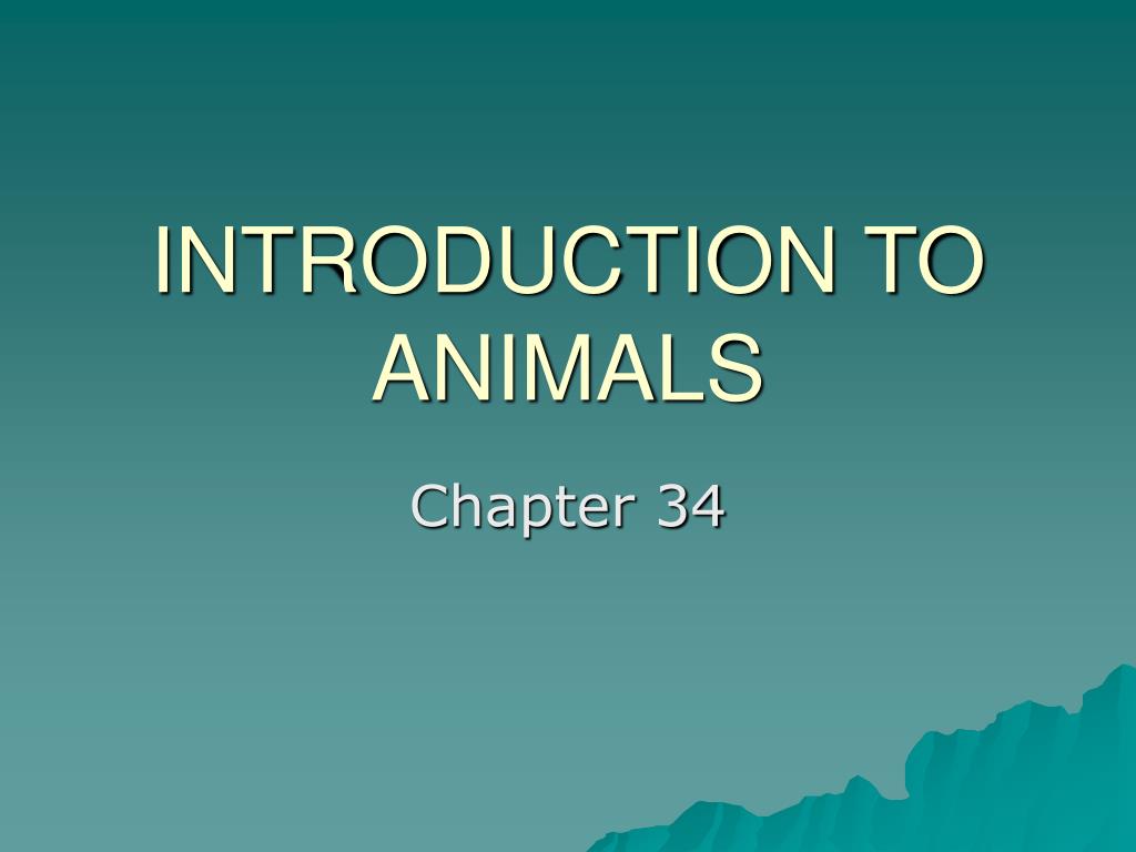 PPT - INTRODUCTION TO ANIMALS PowerPoint Presentation, free download ...