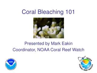 Coral Bleaching 101