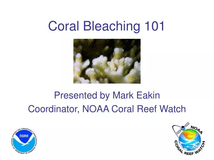 coral bleaching 101
