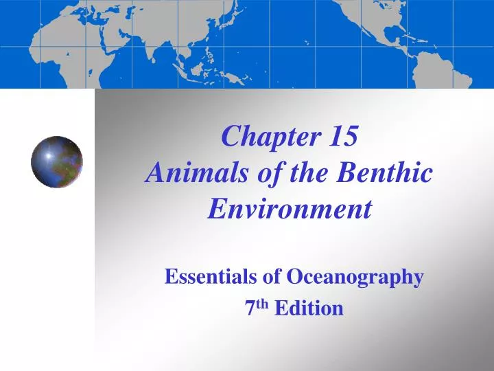 chapter 15 animals of the benthic environment