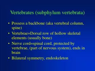 Vertebrates (subphylum vertebrata)