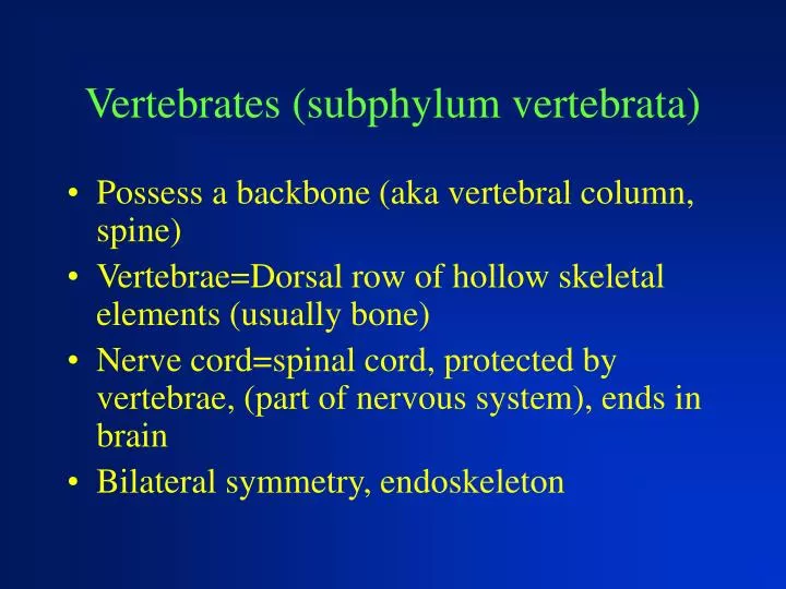 vertebrates subphylum vertebrata