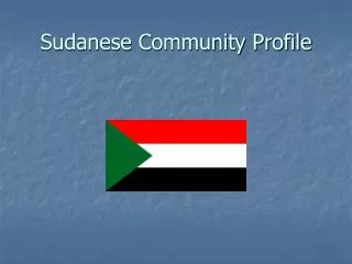 Sudanese Community Profile