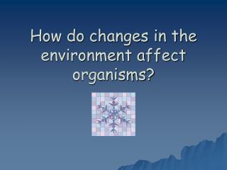 How do changes in the environment affect organisms?