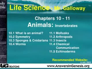 Chapters 10 - 11 Animals: Invertebrates