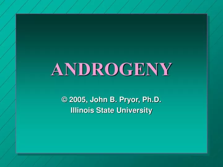 androgeny