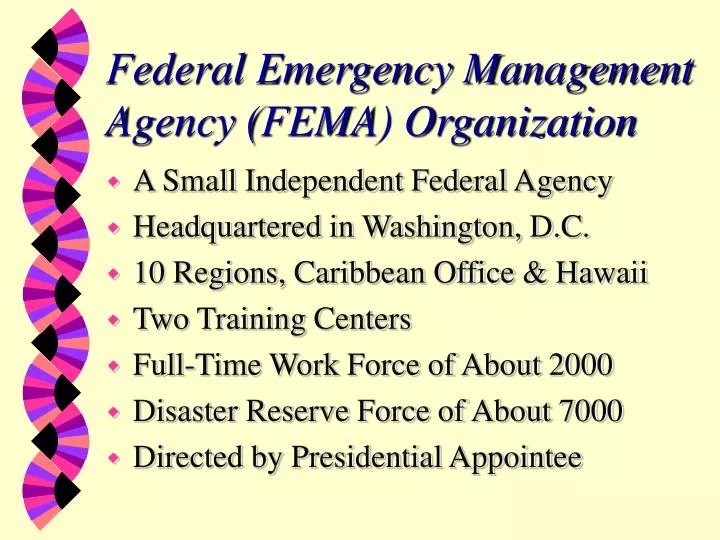 federal emergency management agency fema organization