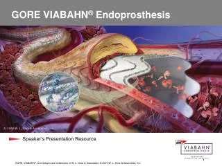 GORE VIABAHN ® Endoprosthesis