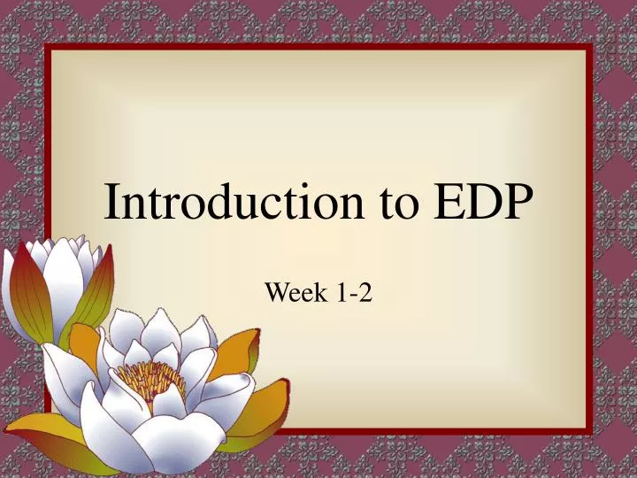 Meaning of name Edp in Chinese