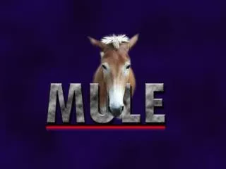 MuLE Multiple Language Environment An Environment for Interpreter-based Projects for the Programming Languages Course