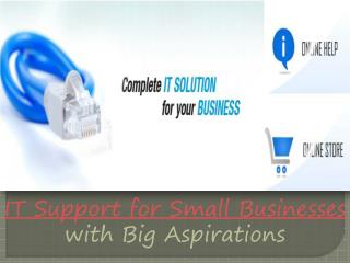 it support for small businesses with big aspirations